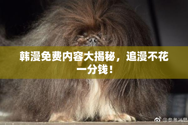 韩漫免费内容大揭秘，追漫不花一分钱！