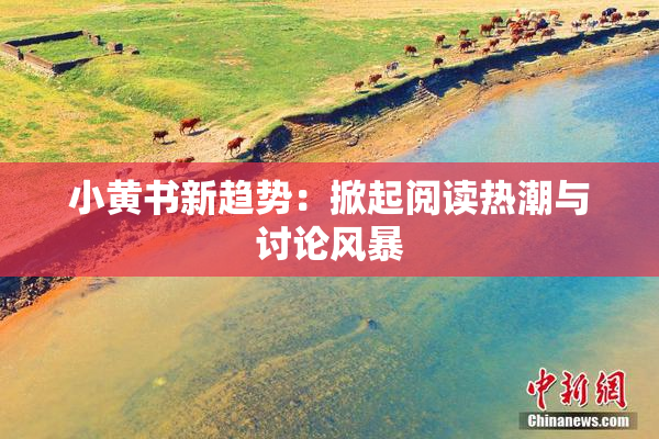 小黄书新趋势：掀起阅读热潮与讨论风暴
