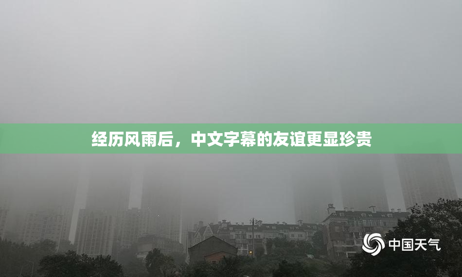 经历风雨后，中文字幕的友谊更显珍贵
