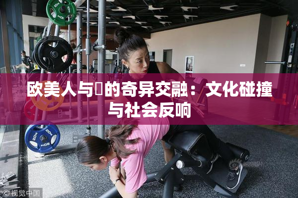 欧美人与嘼的奇异交融：文化碰撞与社会反响