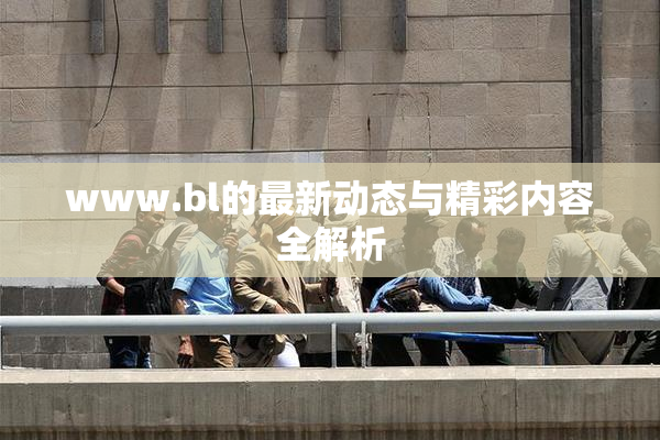 www.bl的最新动态与精彩内容全解析