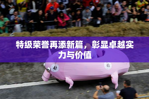 特级荣誉再添新篇，彰显卓越实力与价值