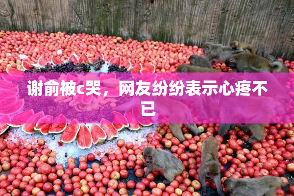 谢俞被c哭，网友纷纷表示心疼不已