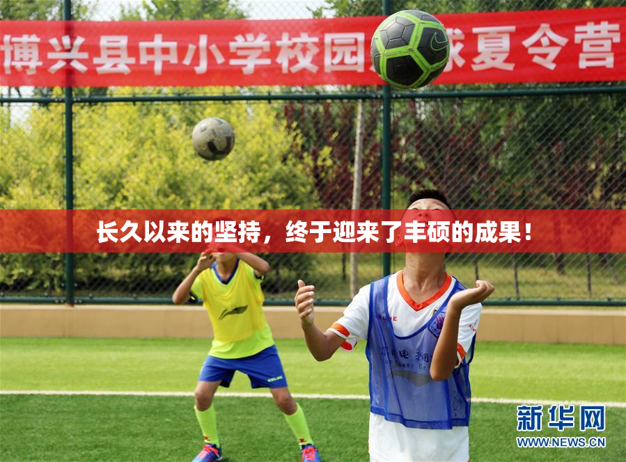 长久以来的坚持，终于迎来了丰硕的成果！