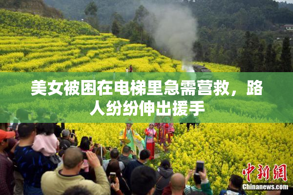 美女被困在电梯里急需营救，路人纷纷伸出援手