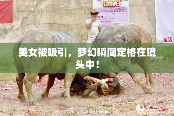 美女被吸引，梦幻瞬间定格在镜头中！