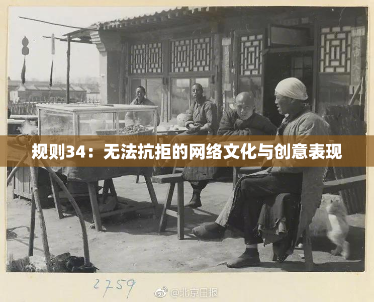 规则34：无法抗拒的网络文化与创意表现