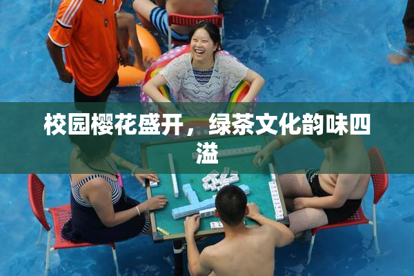校园樱花盛开，绿茶文化韵味四溢