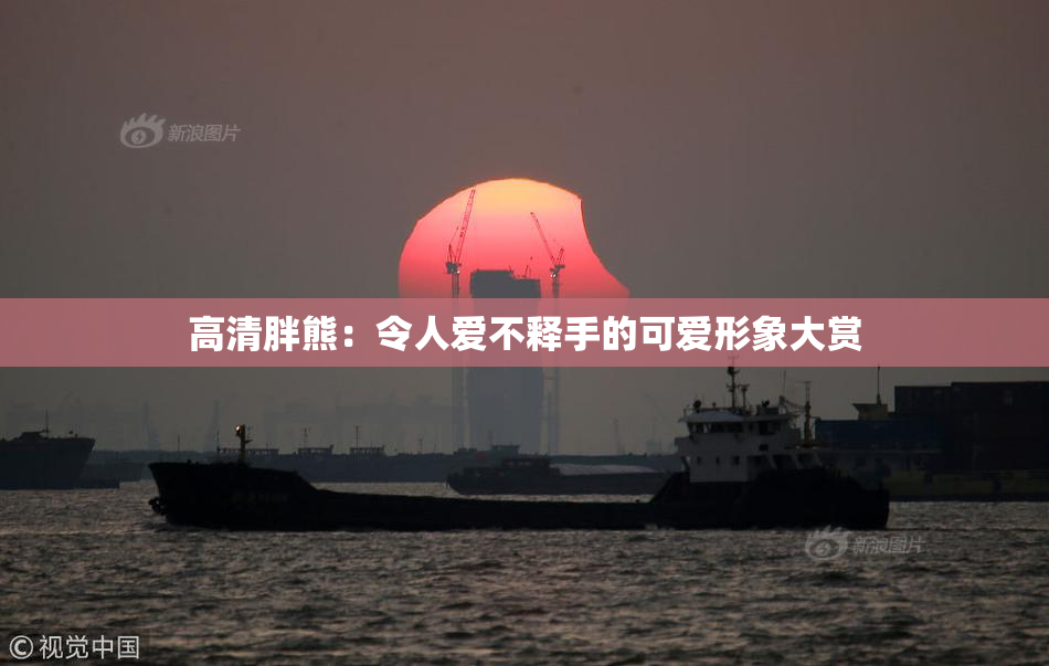高清胖熊：令人爱不释手的可爱形象大赏