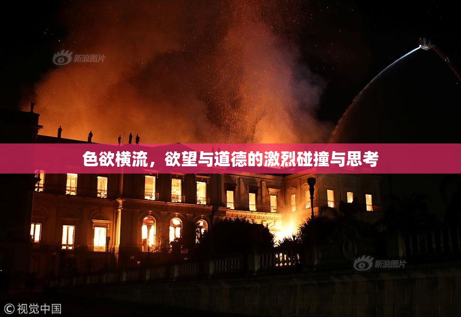 色欲横流，欲望与道德的激烈碰撞与思考