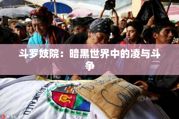 斗罗妓院：暗黑世界中的凌与斗争