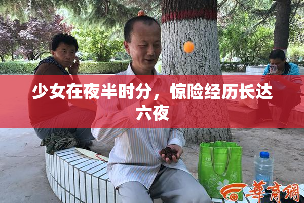 少女在夜半时分，惊险经历长达六夜