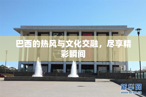 巴西的热风与文化交融，尽享精彩瞬间