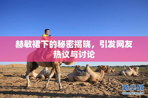 赫敏裙下的秘密揭晓，引发网友热议与讨论