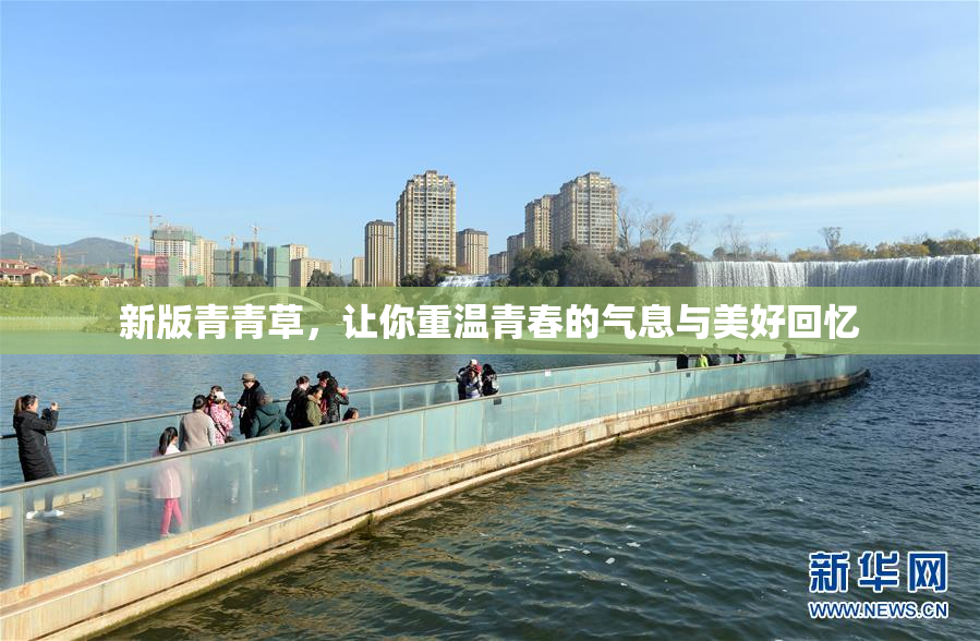 新版青青草，让你重温青春的气息与美好回忆