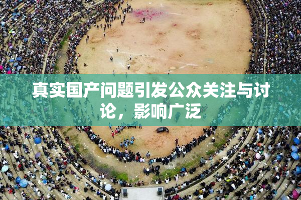 真实国产问题引发公众关注与讨论，影响广泛
