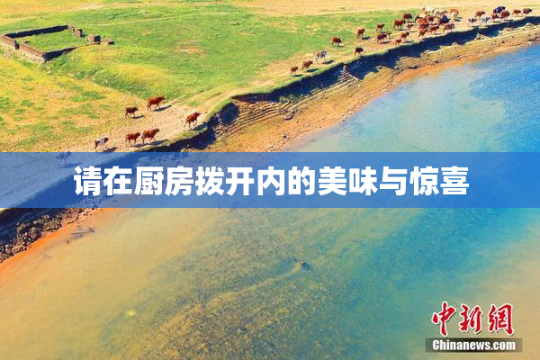 请在厨房拨开内的美味与惊喜