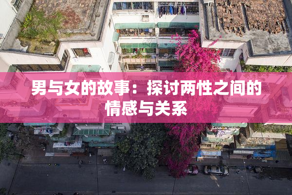 男与女的故事：探讨两性之间的情感与关系