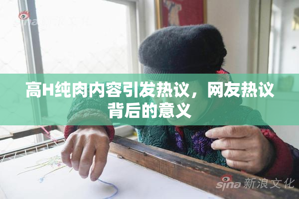高H纯肉内容引发热议，网友热议背后的意义