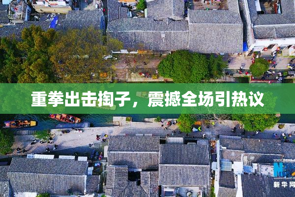 重拳出击掏子，震撼全场引热议