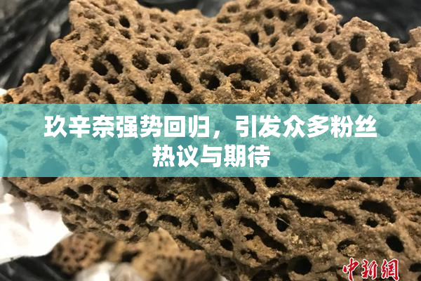 玖辛奈强势回归，引发众多粉丝热议与期待
