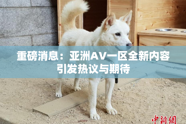 重磅消息：亚洲AV一区全新内容引发热议与期待