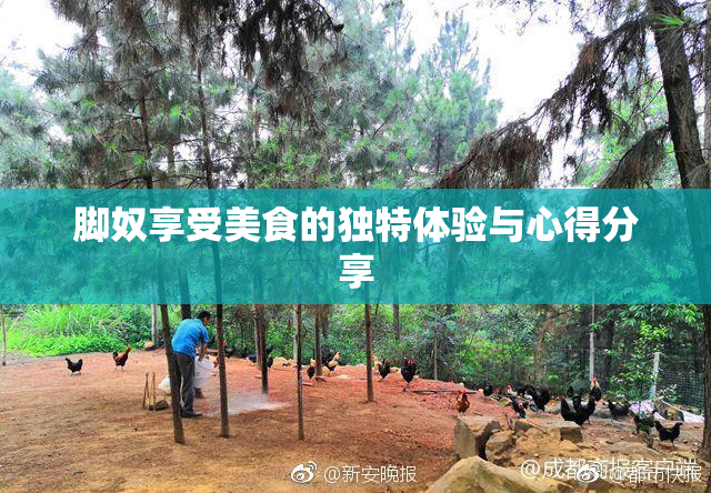脚奴享受美食的独特体验与心得分享
