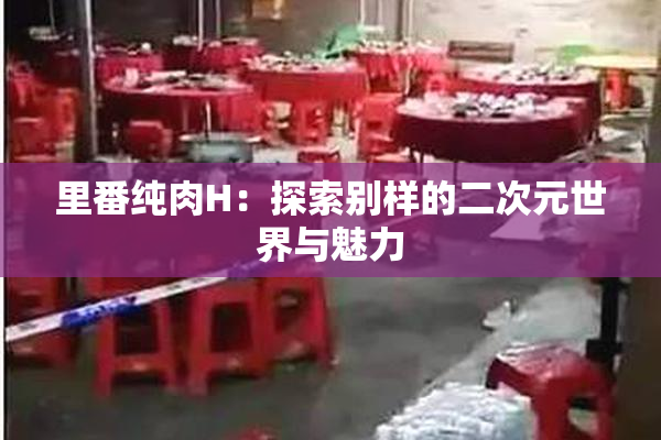 里番纯肉H：探索别样的二次元世界与魅力