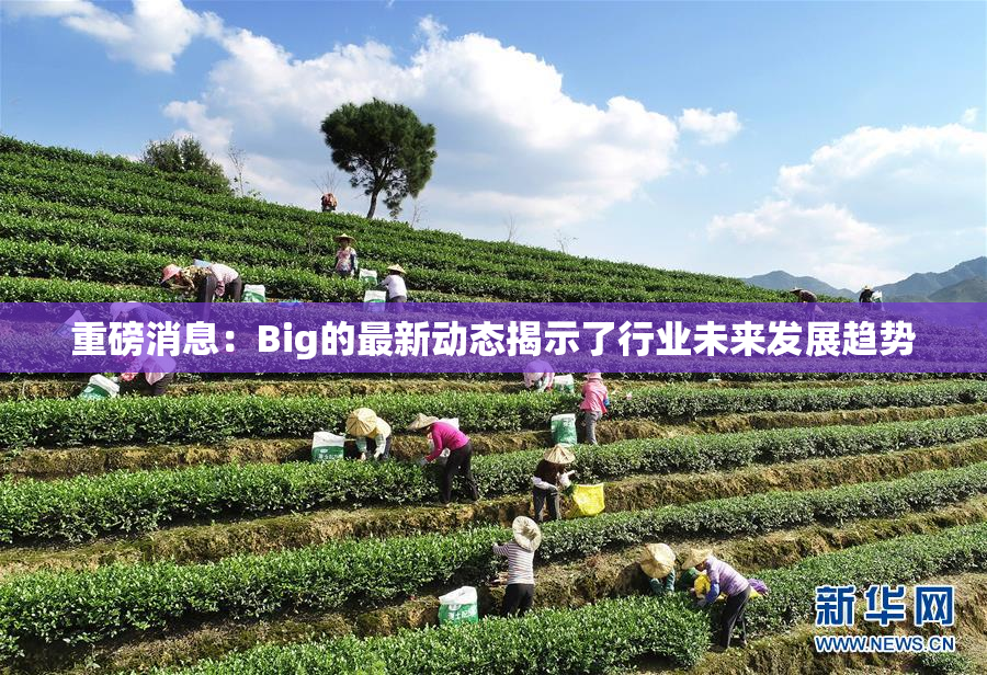 重磅消息：Big的最新动态揭示了行业未来发展趋势