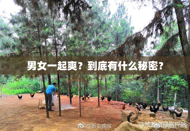 男女一起爽？到底有什么秘密？