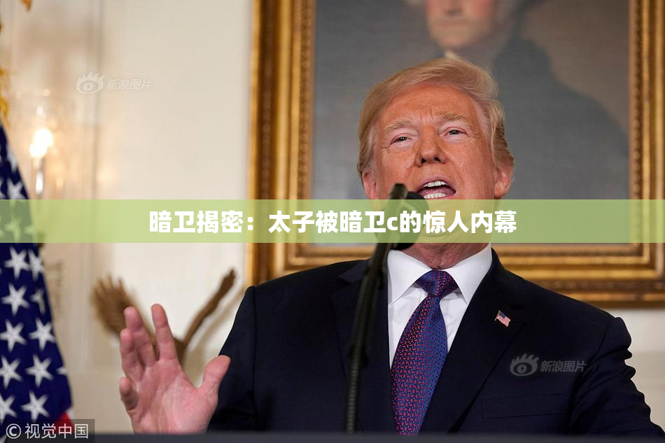暗卫揭密：太子被暗卫c的惊人内幕