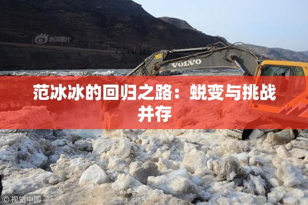 范冰冰的回归之路：蜕变与挑战并存