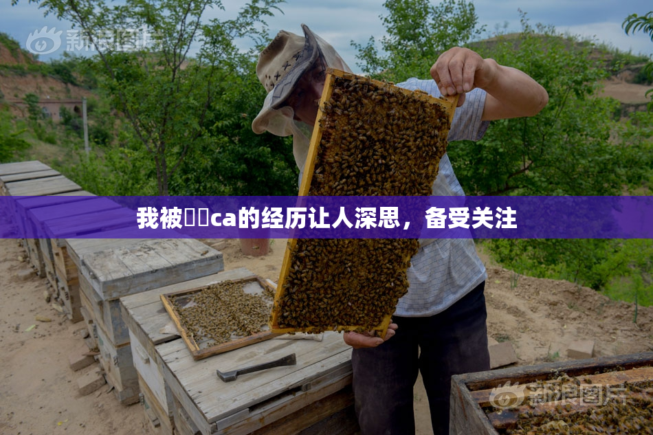 我被妺妺ca的经历让人深思，备受关注