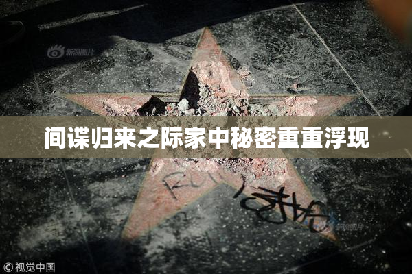 间谍归来之际家中秘密重重浮现