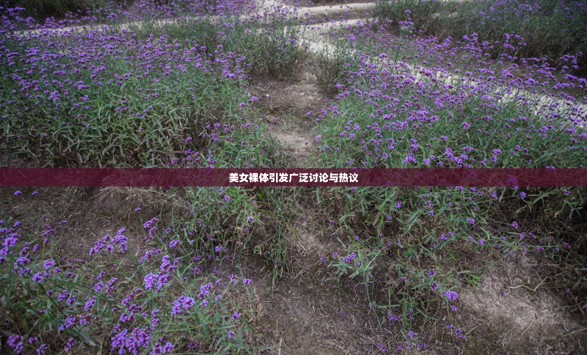 美女裸体引发广泛讨论与热议