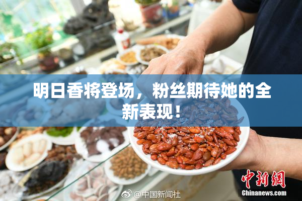 明日香将登场，粉丝期待她的全新表现！