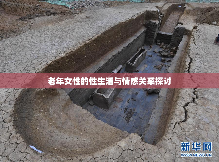 老年女性的性生活与情感关系探讨
