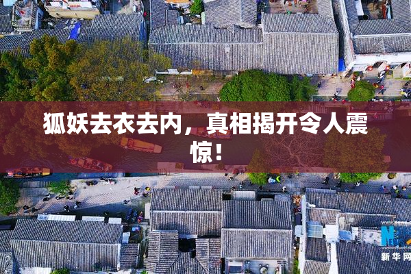 狐妖去衣去内，真相揭开令人震惊！