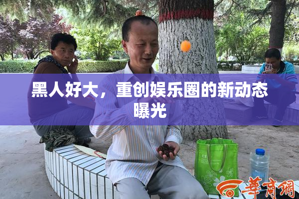 黑人好大，重创娱乐圈的新动态曝光