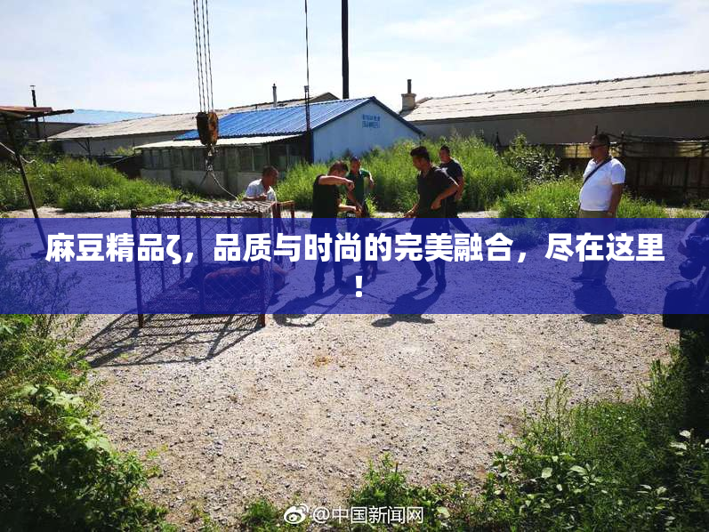 麻豆精品ζ，品质与时尚的完美融合，尽在这里！