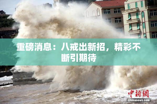 重磅消息：八戒出新招，精彩不断引期待