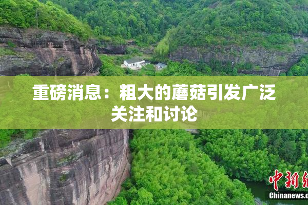 重磅消息：粗大的蘑菇引发广泛关注和讨论