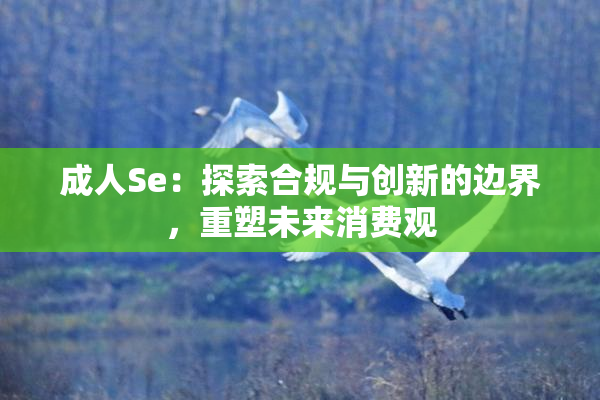 成人Se：探索合规与创新的边界，重塑未来消费观