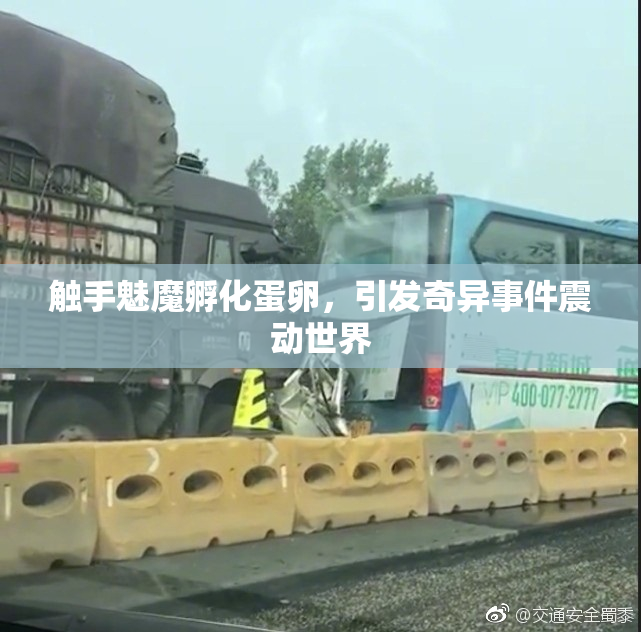 触手魅魔孵化蛋卵，引发奇异事件震动世界
