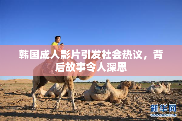 韩国成人影片引发社会热议，背后故事令人深思