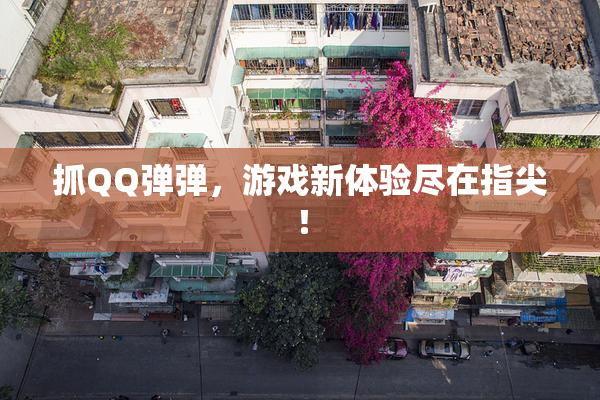 抓QQ弹弹，游戏新体验尽在指尖！