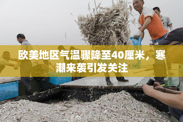 欧美地区气温骤降至40厘米，寒潮来袭引发关注