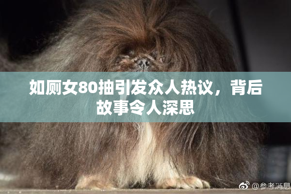 如厕女80抽引发众人热议，背后故事令人深思