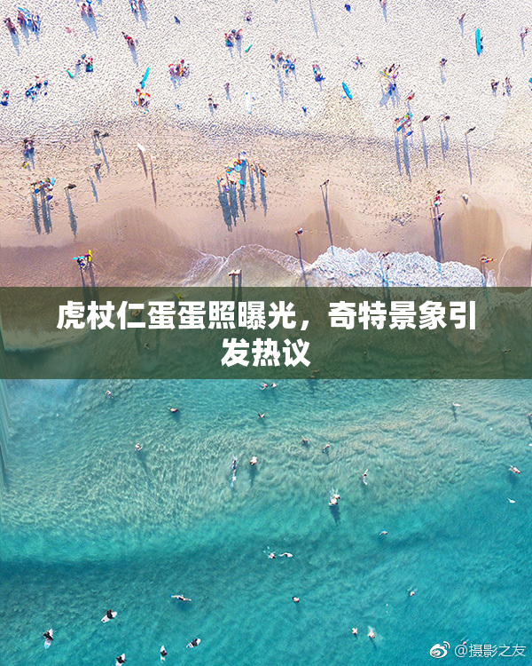 虎杖仁蛋蛋照曝光，奇特景象引发热议