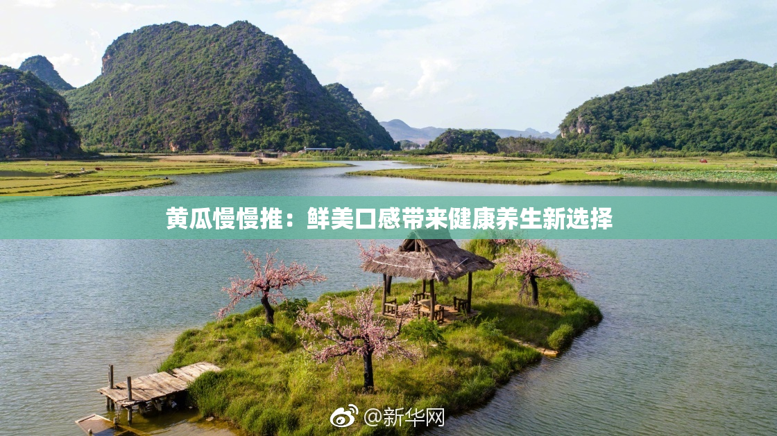 黄瓜慢慢推：鲜美口感带来健康养生新选择